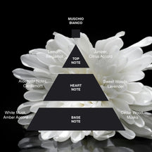 Acca Kappa White Moss (Muschio Bianco) Eau de Parfum - 100ml