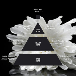 Acca Kappa White Moss Solid Perfume
