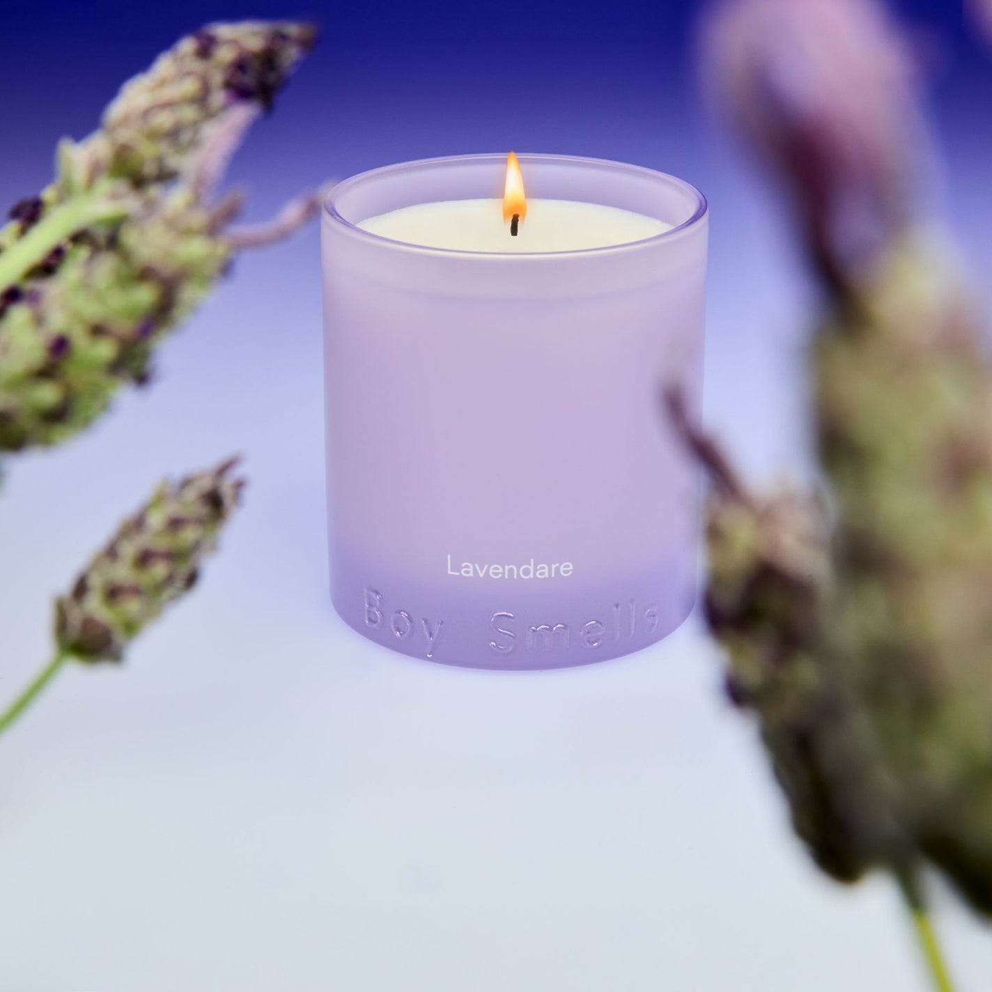 Boy Smells Lavendare Standard Candle