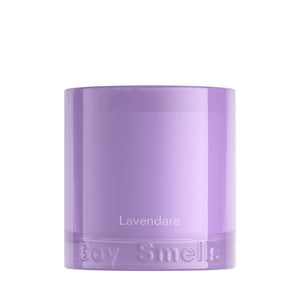 Boy Smells Lavendare Standard Candle