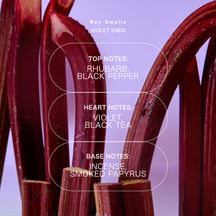 Boy Smells Violet Ends Standard Candle