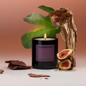 Boy Smells Woodphoria Standard Candle