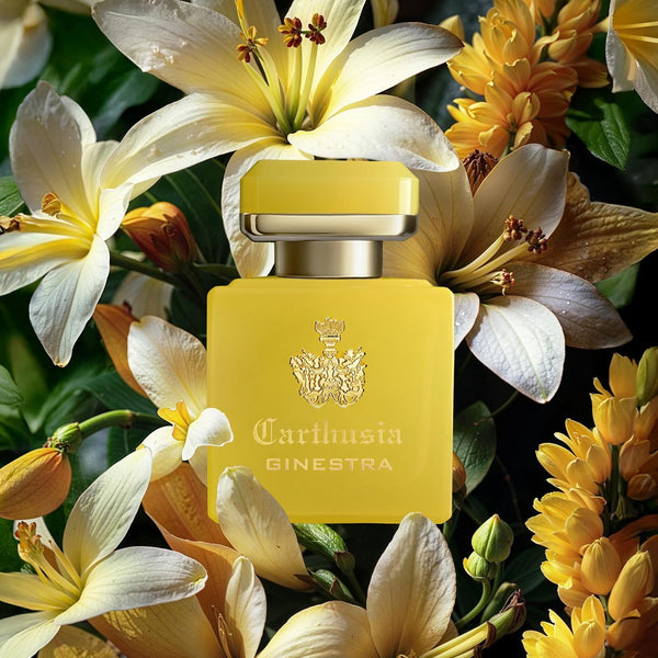 CARTHUSIA Perfume Intenso di Ginestra