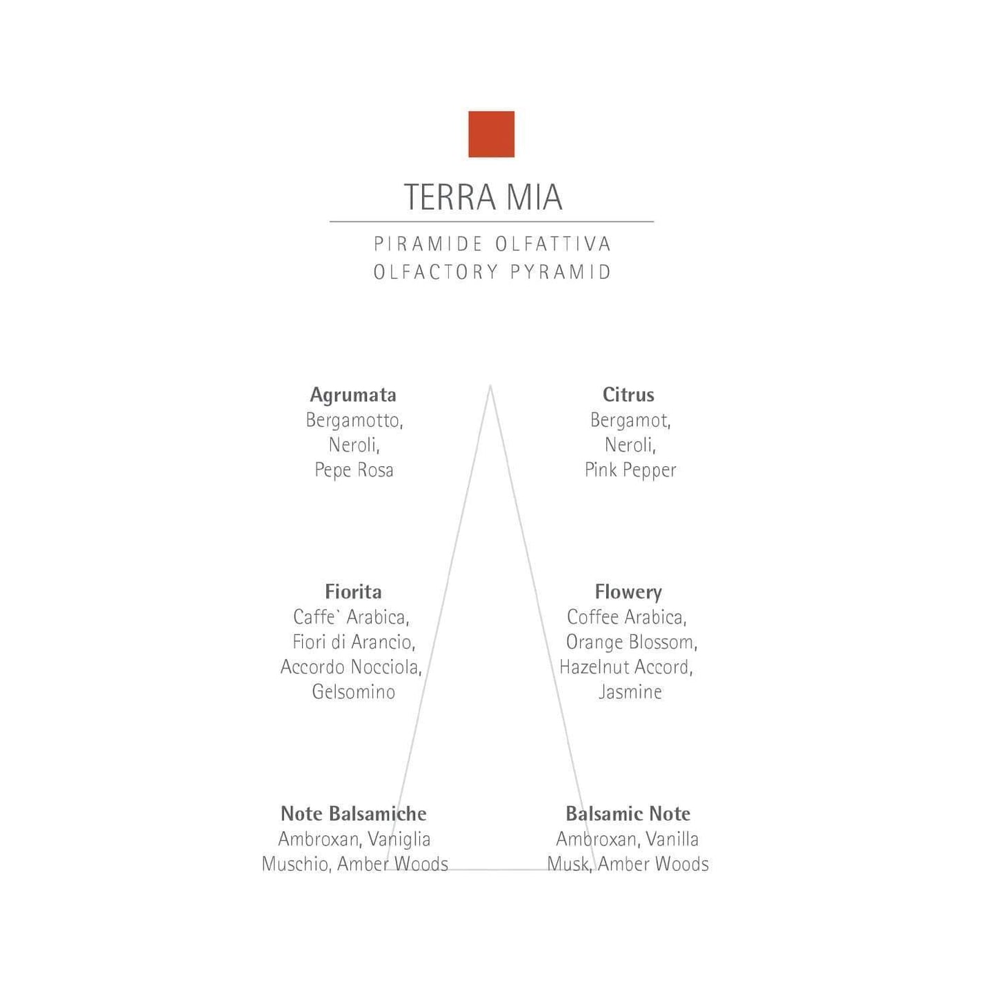 CARTHUSIA Terra Mia Liquid Soap