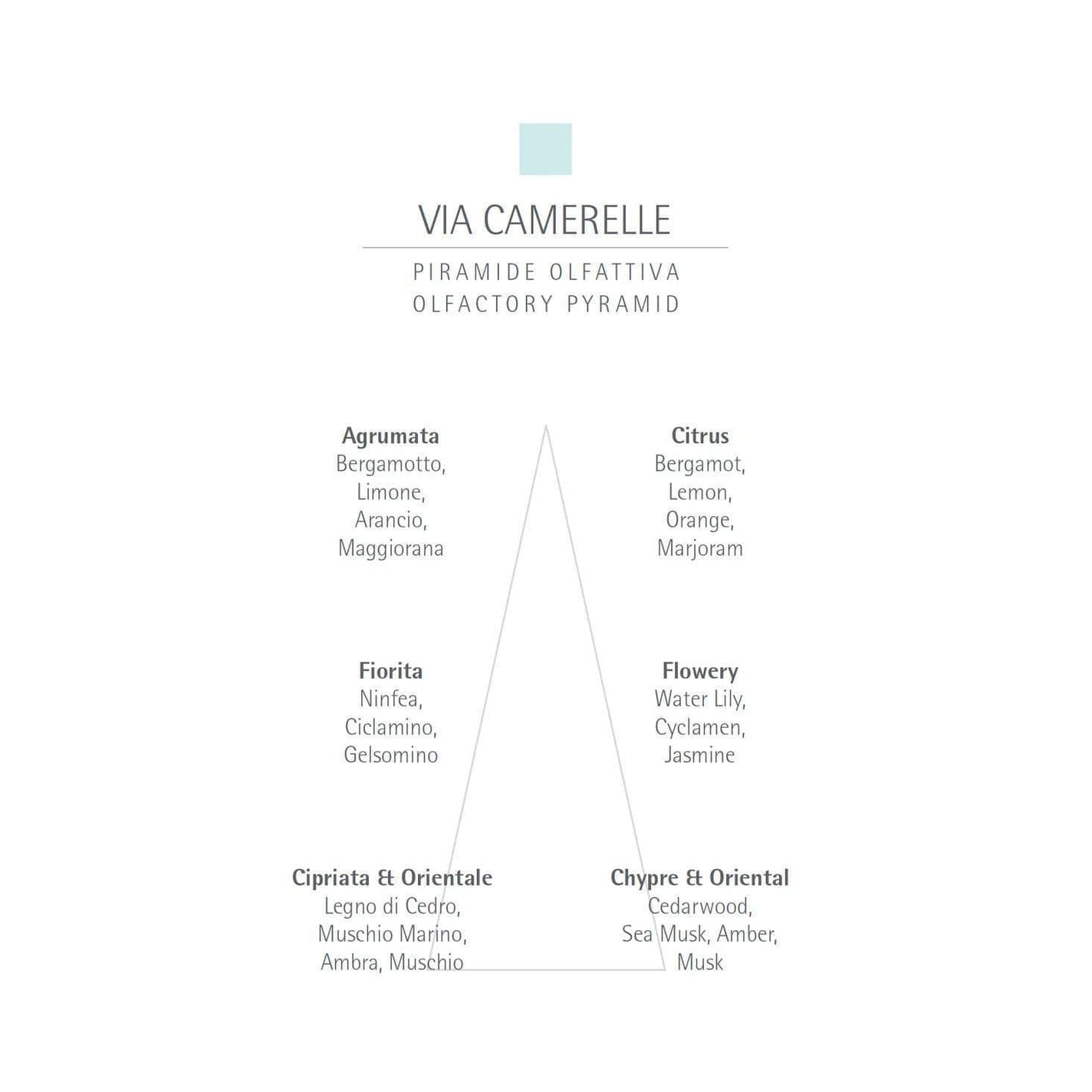 CARTHUSIA Via Camarelle Liquid Soap