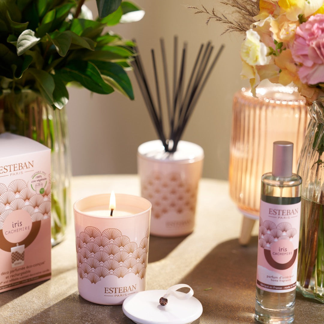 Esteban Iris Cachemire Japanese Incense