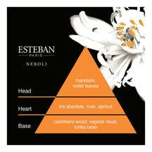Esteban Neroli Bamboo Incense