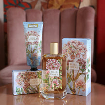 Fragonard Belle d'Amour Perfumed Hand Cream