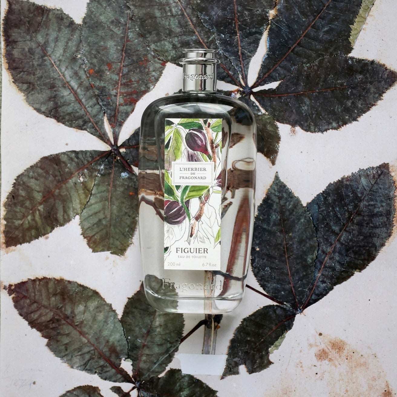 Fragonard Figuier Eau de Toilette