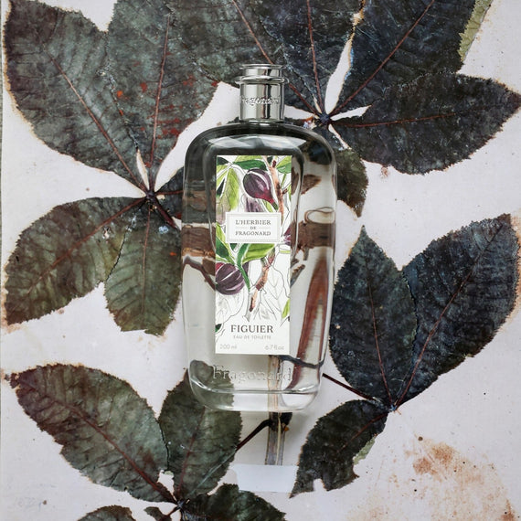 Fragonard Figuier Eau de Toilette