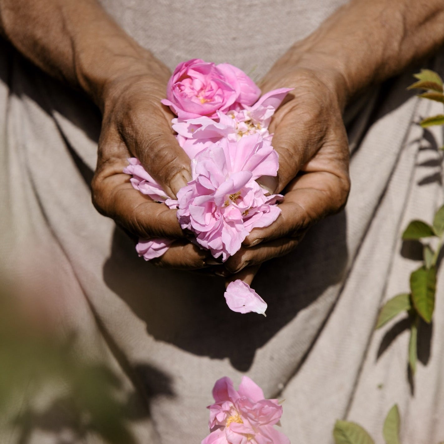 Fragonard L'Air de Grasse Mini Gift Set