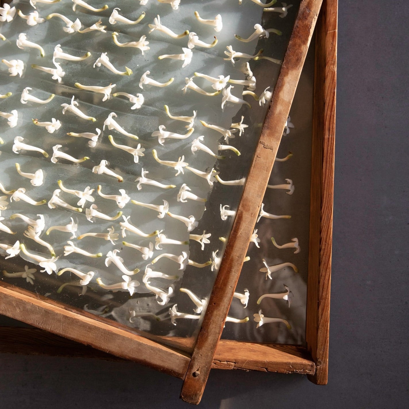 Fragonard L'Air de Grasse Mini Gift Set