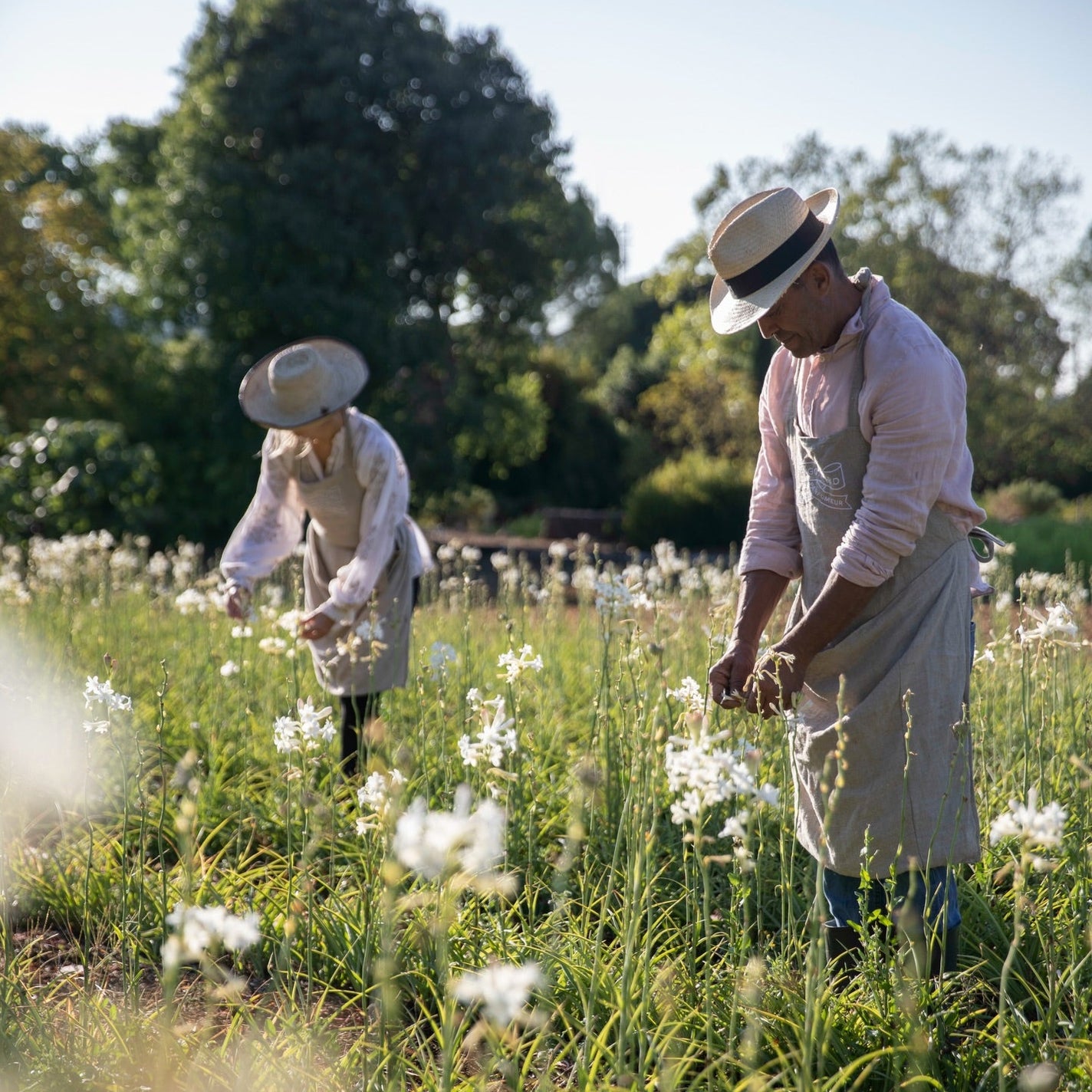 Fragonard L'Air de Grasse Mini Gift Set
