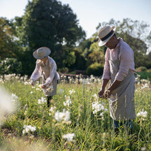 Fragonard L'Air de Grasse Mini Gift Set