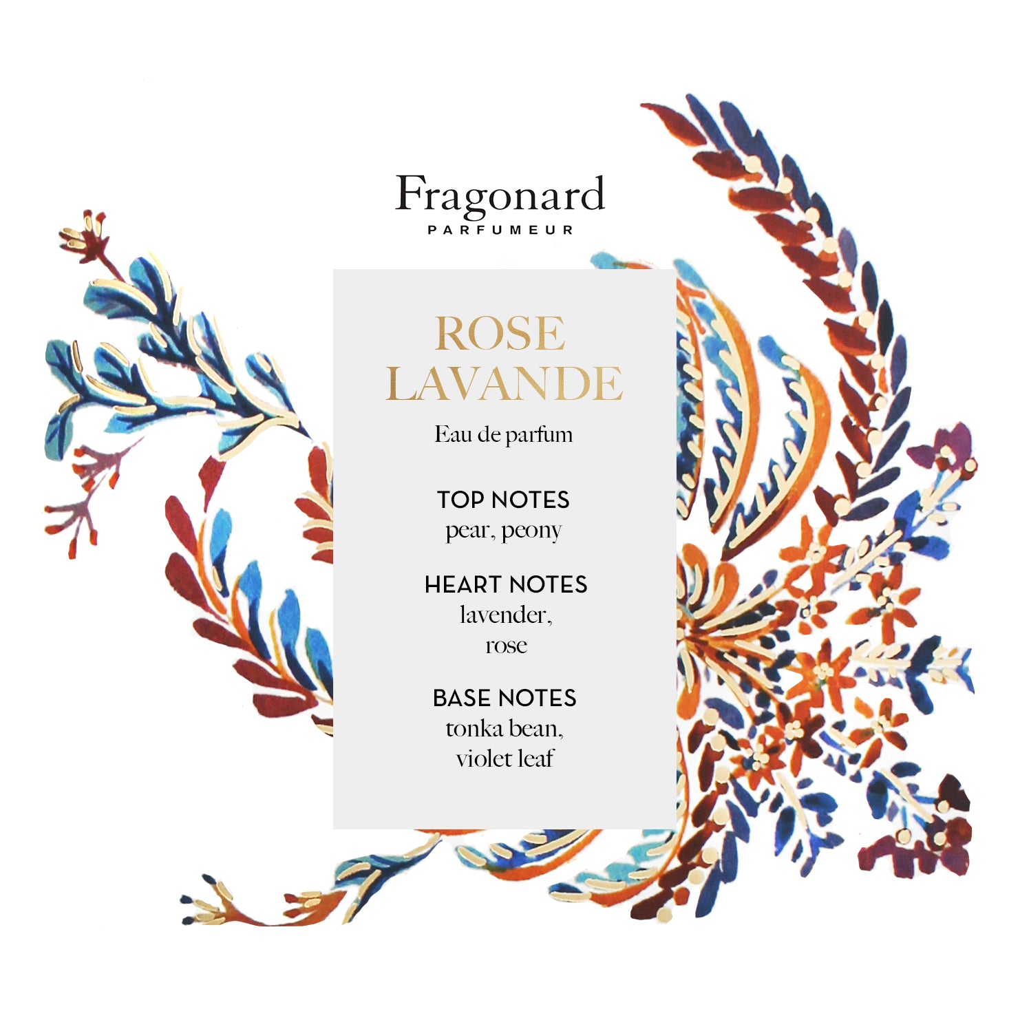 Fragonard Rose Lavande Eau de Parfum: Official Stockist