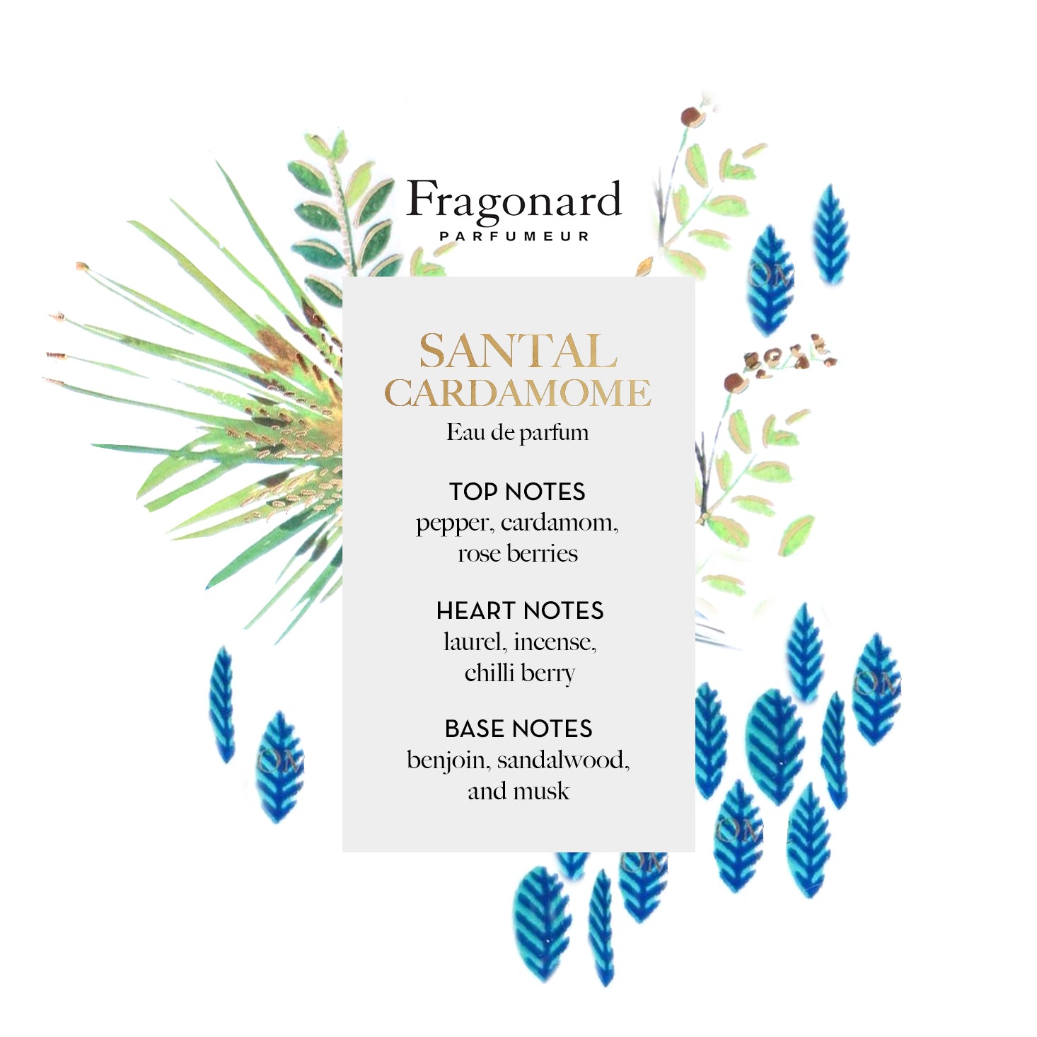 Fragonard Santal Cardamome Eau de Parfum: Official Stockist
