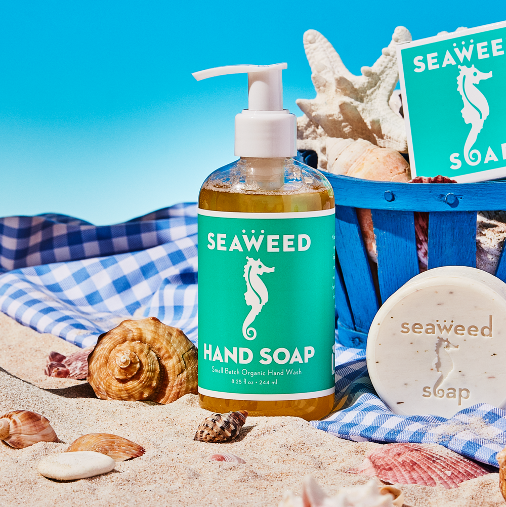 Seaweed Hand + Body Wash