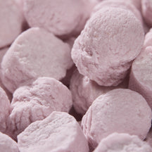 Leone 1857 Cinnamon Spice Pastilles in Box