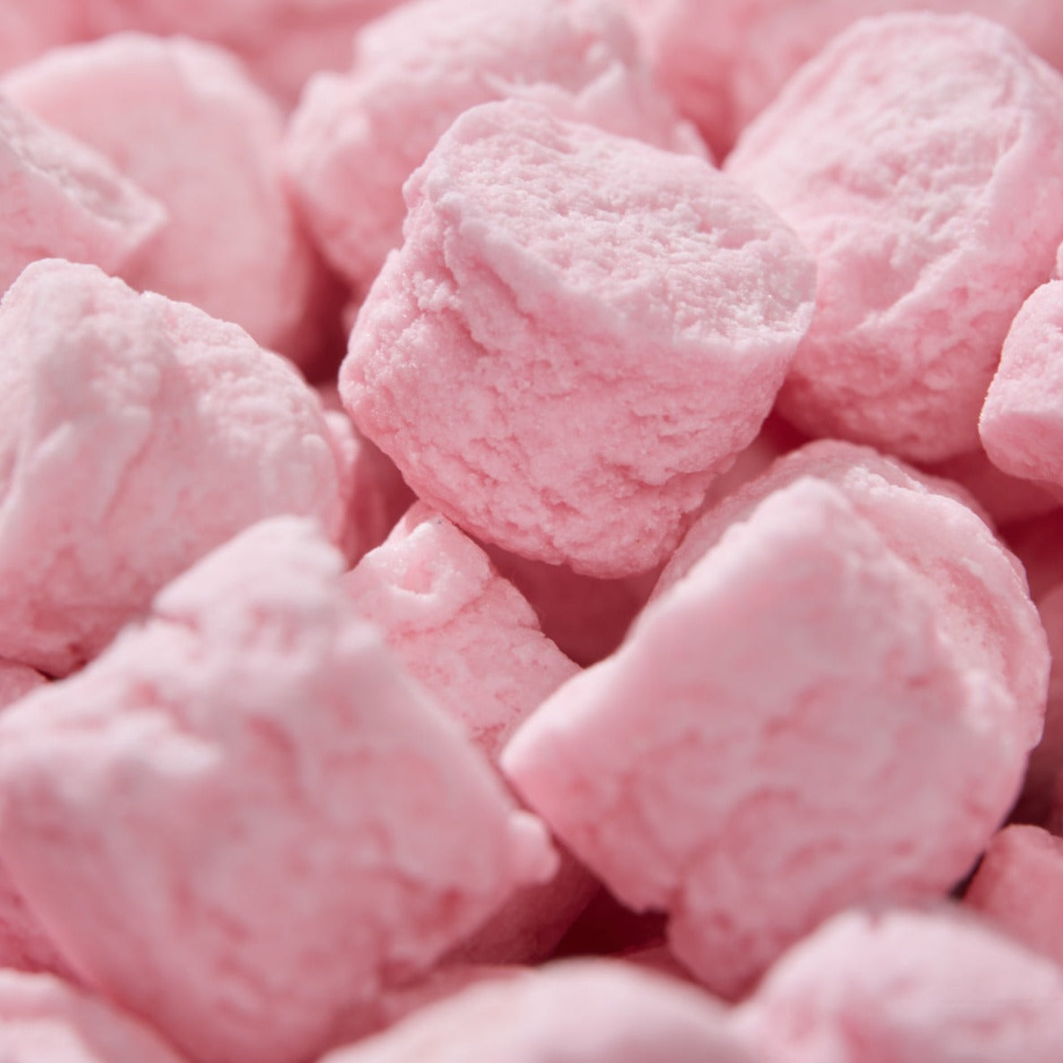 Leone 1857 Delicious Raspberry Pastilles in Box