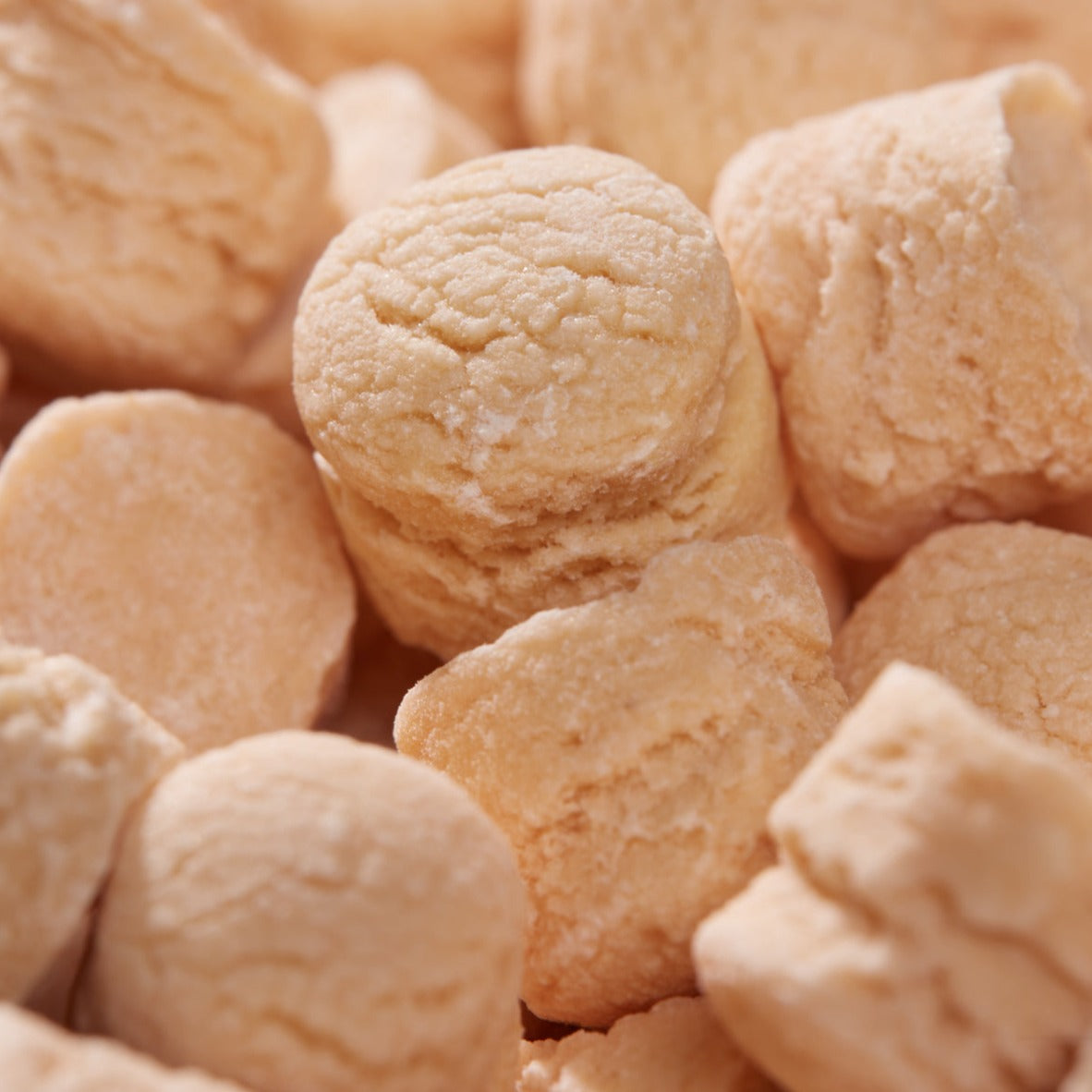 Leone 1857 Scented Tangerine Pastilles in Box