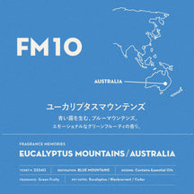 Nippon Kodo Round the World Incense Bundle - Value $74