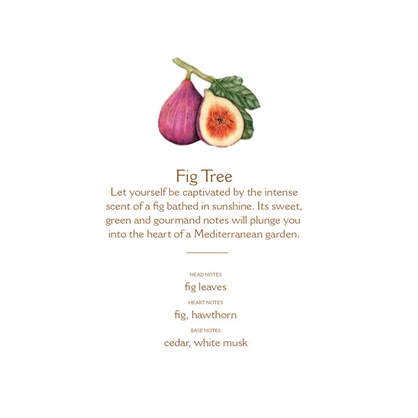 Panier des Sens Fig Tree Room Spray