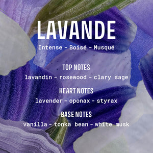 Panier des Sens Iconic Lavender Roll-On EDT