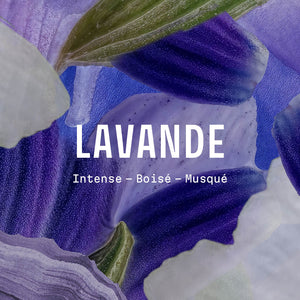 Panier des Sens Iconic Lavender Scented Candle
