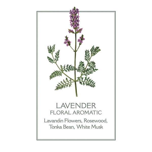 Panier des Sens Lavender Shower Gel