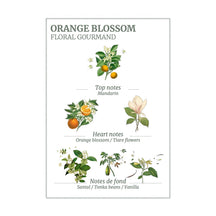 Panier des Sens Orange Blossom Shower Gel in Tube