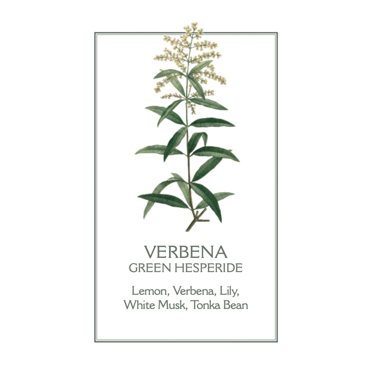 Panier des Sens Verbena Shower Gel