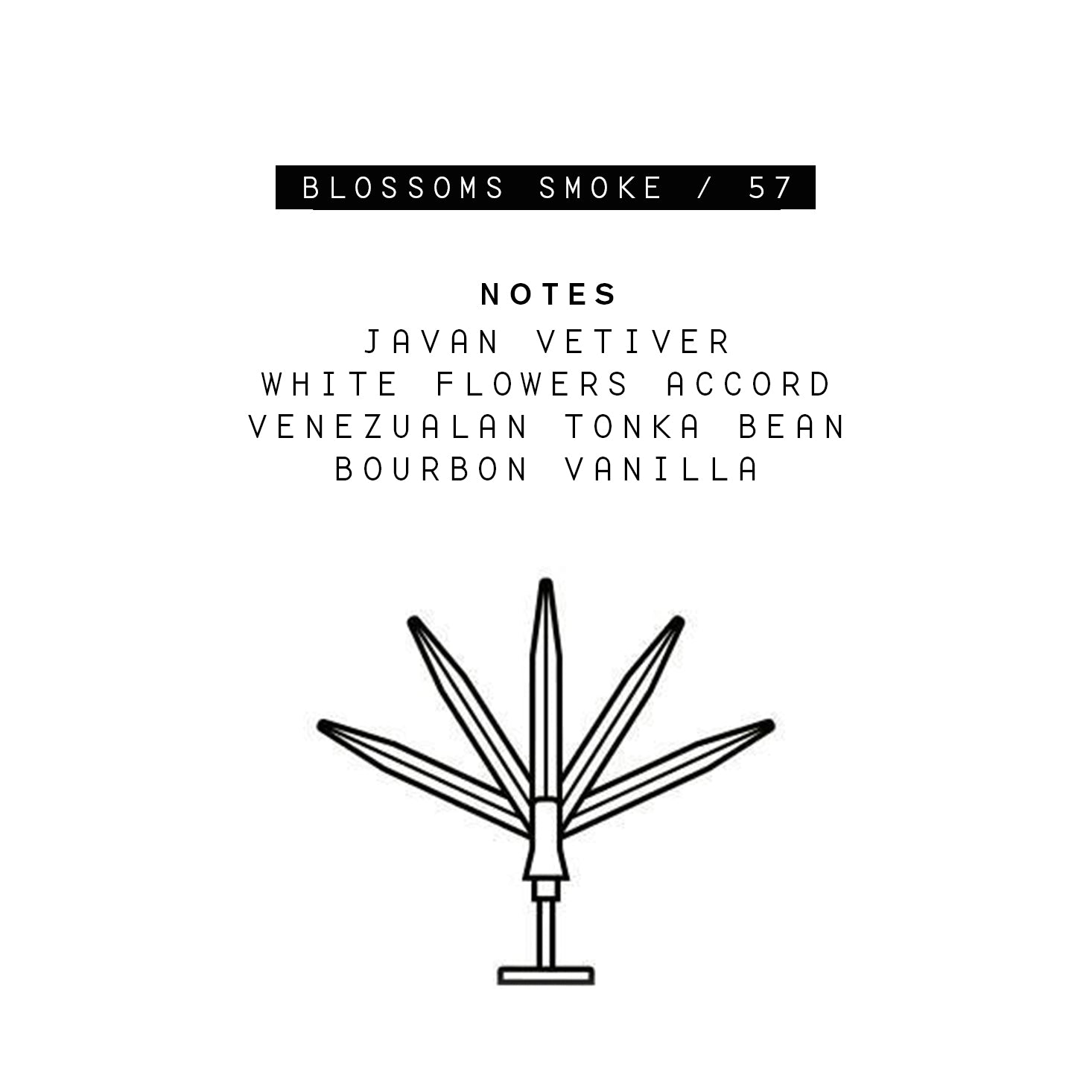 Parle Moi Blossoms Smoke / 57 Eau de Parfum - 50ml: Official Stockist