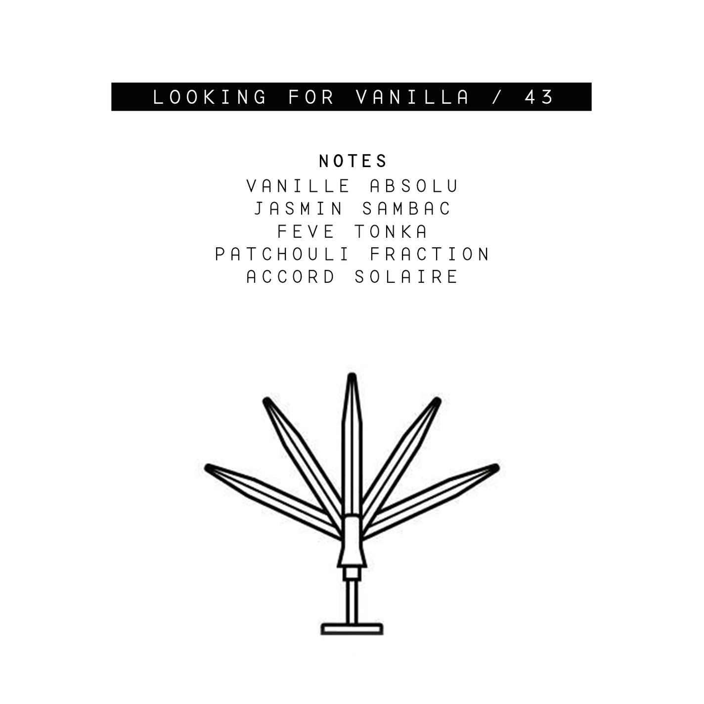 Parle Moi Looking for Vanilla / 43 Eau de Parfum - 50ml