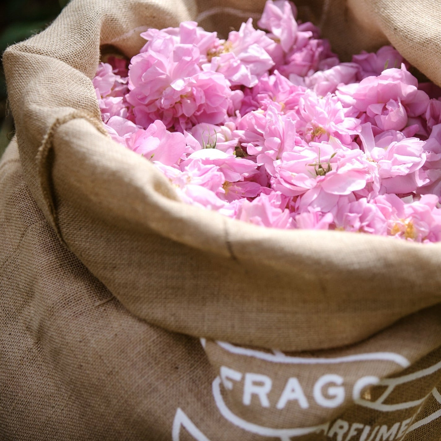 Sample Vial - Fragonard L'Air de Grasse Eau de Toilette