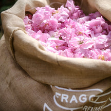 Sample Vial - Fragonard L'Air de Grasse Eau de Toilette