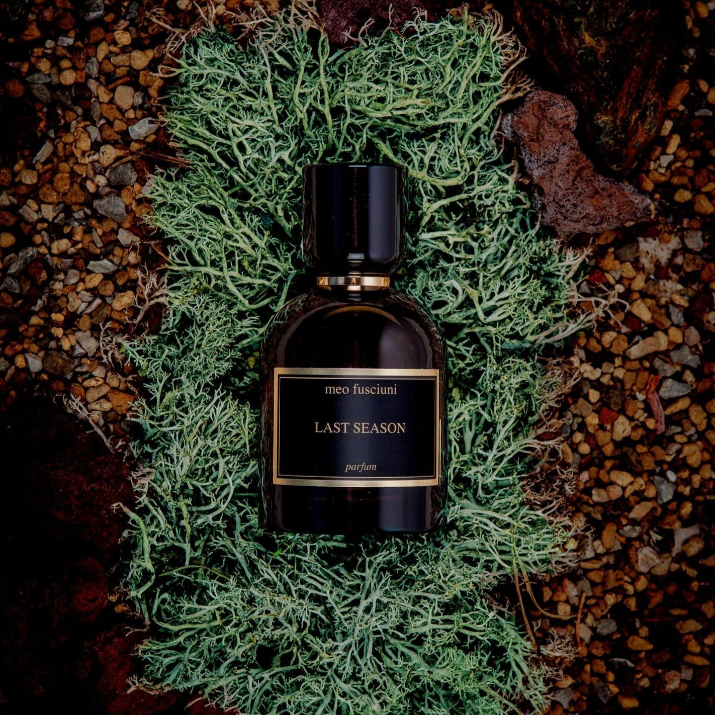 Sample Vial - Meo Fusciuni Last Season Parfum