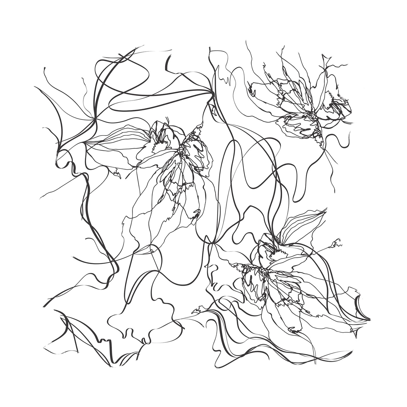 Sample Vial - Nasomatto Nudiflorum Parfum Extrait