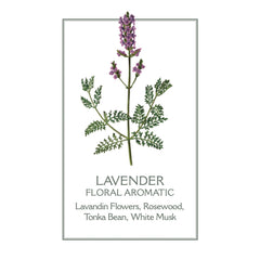 Sample Vial - Panier des Sens Lavender EDT