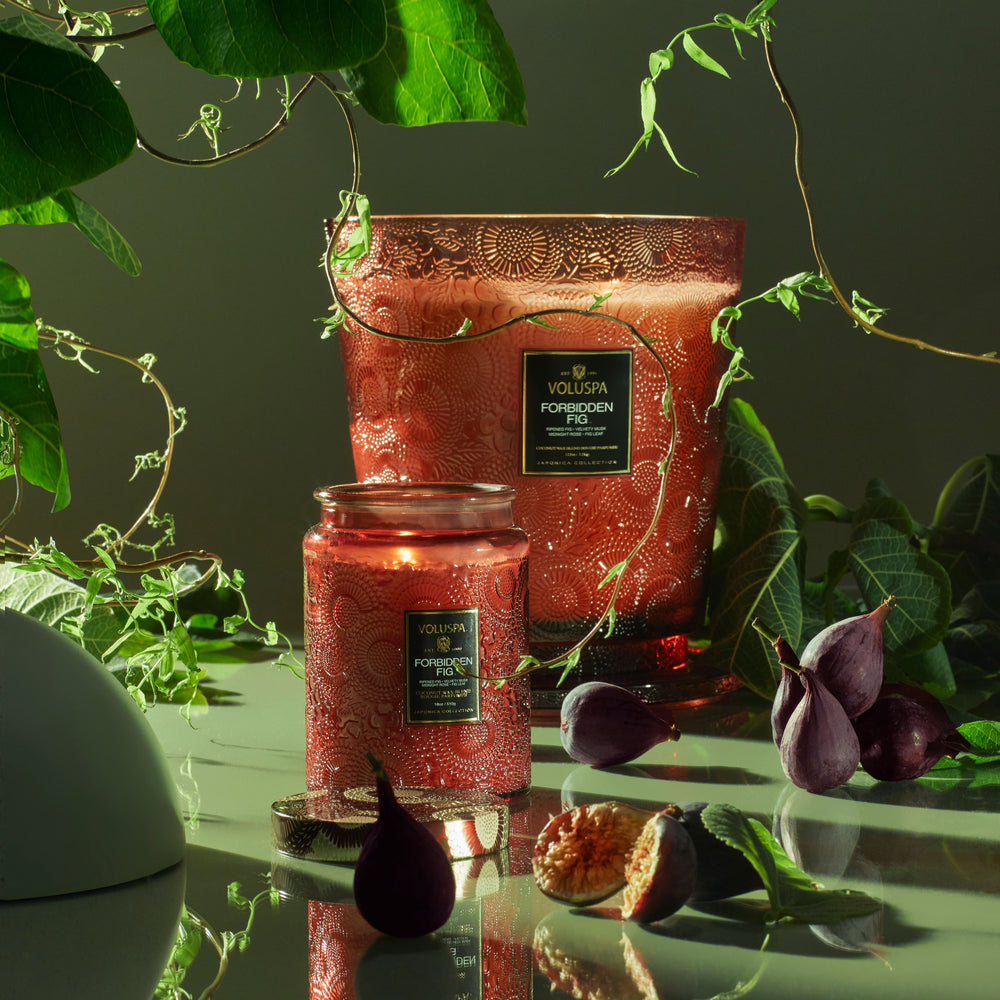 VOLUSPA Forbidden Fig 100hr Candle