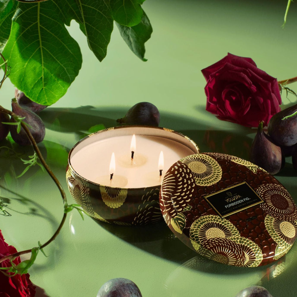 VOLUSPA Forbidden Fig 3 Wick Candle