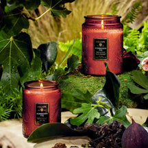 VOLUSPA Forbidden Fig 50hr Candle Jar