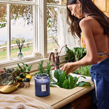 VOLUSPA Mediterranean Lemon Best Sellers Bundle - Value $185