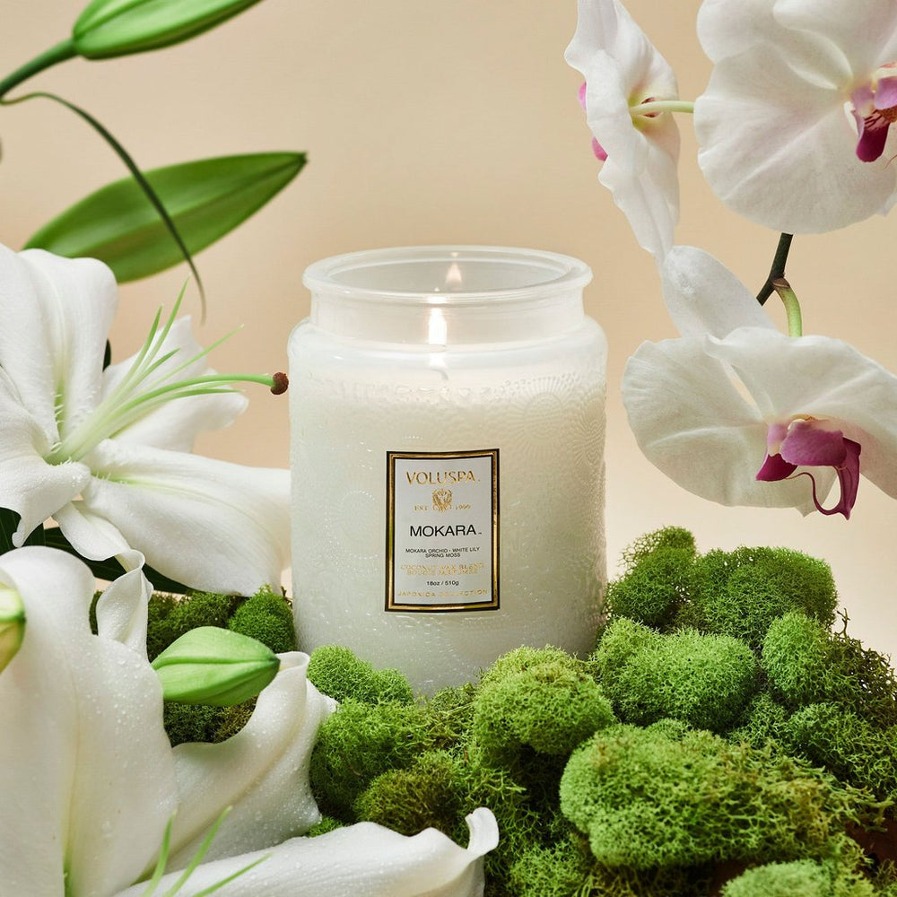 VOLUSPA Mokara 100hr Candle