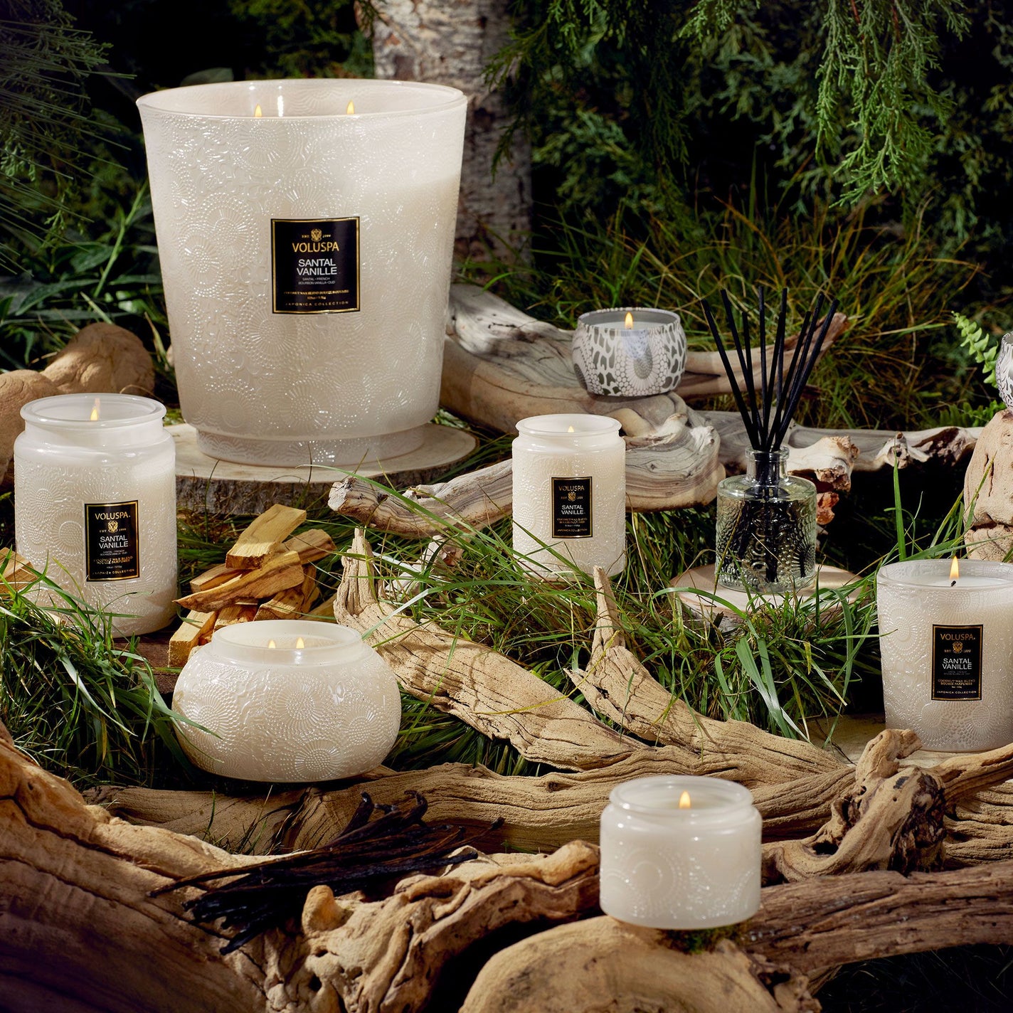 VOLUSPA Santal Vanille 50hr Candle Jar