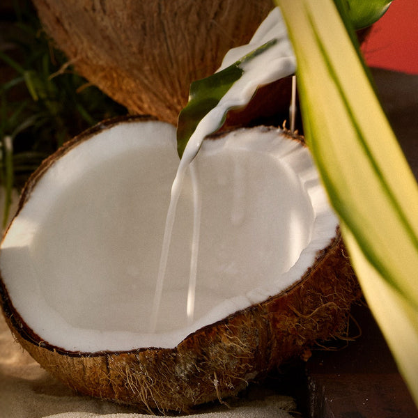 VOLUSPA Tahitian Coconut Vanilla 3 Wick Candle