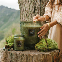 VOLUSPA Temple Moss 250hr/3.5kg Hearth Candle