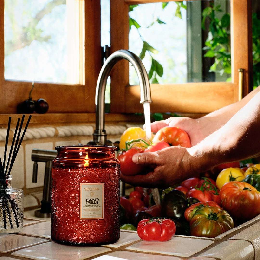 VOLUSPA Tomato Trellis 100hr Candle