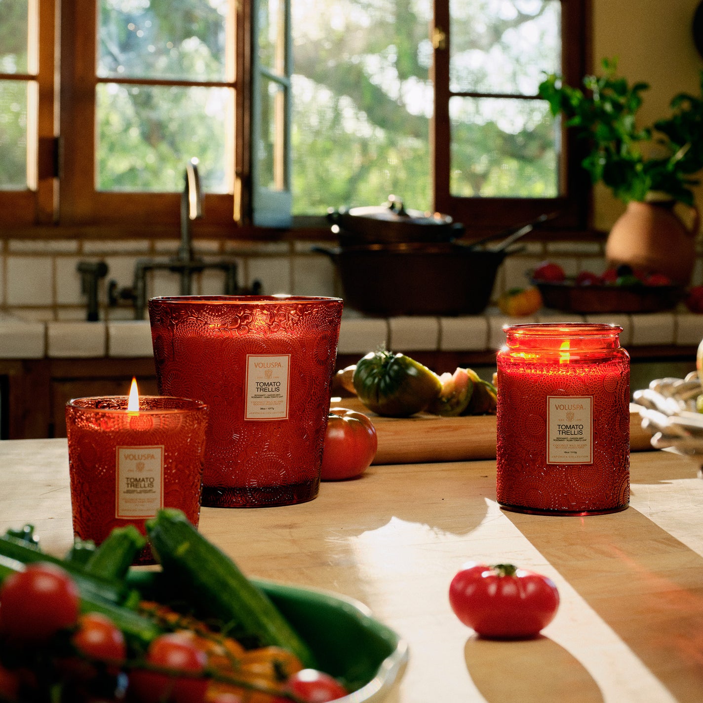 VOLUSPA Tomato Trellis 100hr Candle