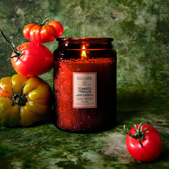 VOLUSPA Tomato Trellis 100hr Candle
