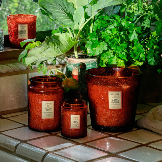 VOLUSPA Tomato Trellis 50hr Candle Jar